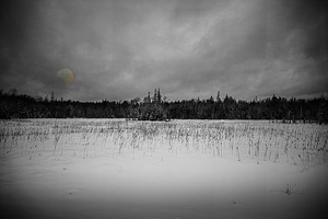 ZJS 9284 2  by James Shedden Photography