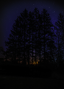 JBS 4719  by James Shedden Photography