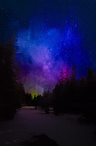 JBS 6008  by James Shedden Photography