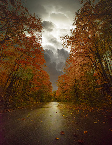 JBS 3790  by James Shedden Photography