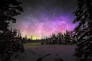 JBS 4427  by James Shedden Photography