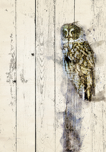 JBS 5420WC 2 by James Shedden Photography