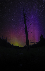 CRC 1662 by James Shedden Photography