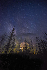 JBS 07652 by James Shedden Photography