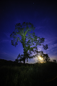 JBS 3408 by James Shedden Photography