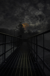 JBS 3041  by James Shedden Photography