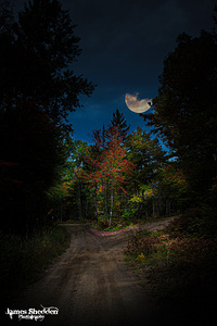 ZJS 8379  by James Shedden Photography