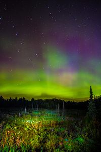 JBS 2348 by James Shedden Photography