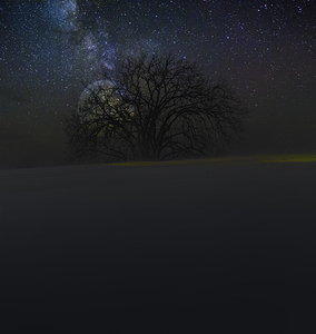 JBS 6098  by James Shedden Photography