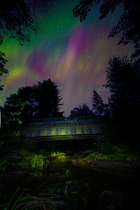 JBS 6232  by James Shedden Photography