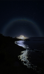 JBS 3166  by James Shedden Photography