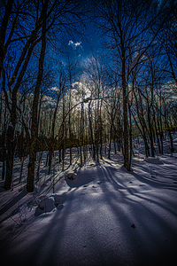 JBS 0402  by James Shedden Photography