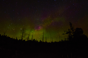 CRC 1489 by James Shedden Photography