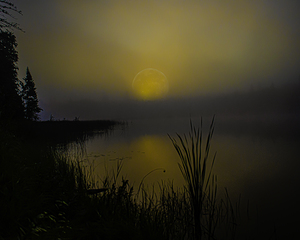 JBS 2558  by James Shedden Photography