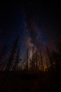 JBS 0766  by James Shedden Photography