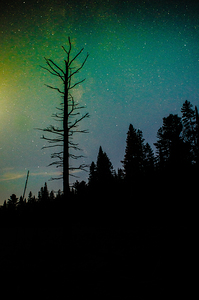 JBS 3718 by James Shedden Photography