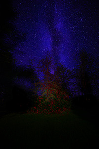 JBS 3648  by James Shedden Photography