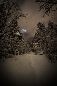 Z62 0235 2  by James Shedden Photography