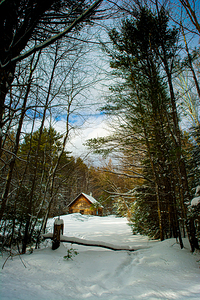 JBS 5227 by James Shedden Photography