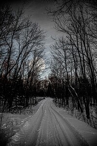 JBS 0236  by James Shedden Photography