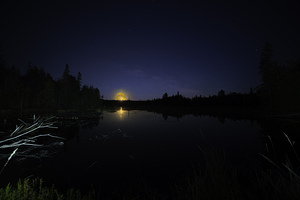 DSC 5719  by James Shedden Photography