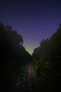 DSC 1684  by James Shedden Photography