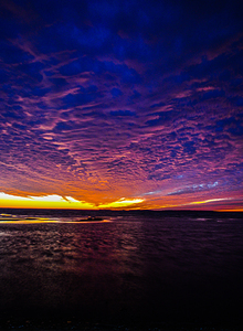 JBS 3785 by James Shedden Photography