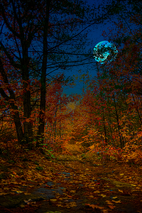 JBS 6767  by James Shedden Photography