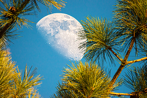 JBS 9958  by James Shedden Photography