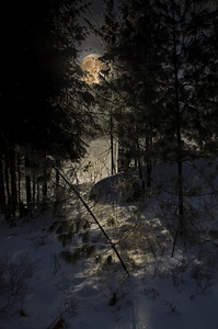 JBS 8757  by James Shedden Photography