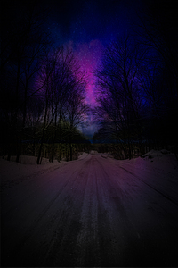 ZJS 6317  by James Shedden Photography