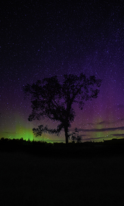 JBS 3509  by James Shedden Photography