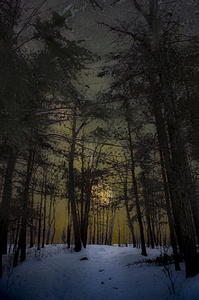 JBS 8747  by James Shedden Photography