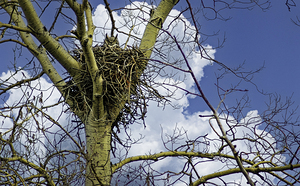 DSC 0059  by James Shedden Photography