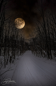 DSC 4177  by James Shedden Photography