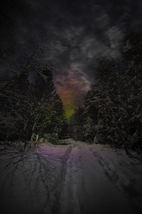 ZJS 6936  by James Shedden Photography