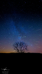 JBS 4027  by James Shedden Photography