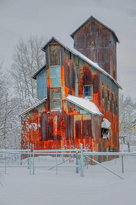 DSC 5683  by James Shedden Photography