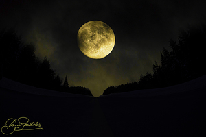 JBS 4093  by James Shedden Photography