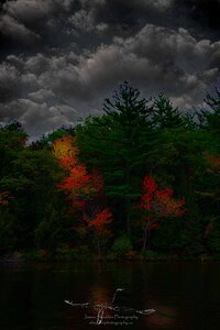 JBS 4749  by James Shedden Photography