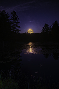 DSC 5746  by James Shedden Photography