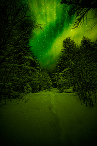 Z62 0234 2  by James Shedden Photography