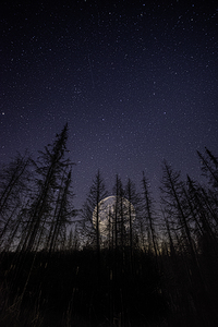 JBS 0765 by James Shedden Photography