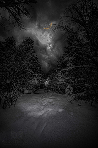 Z62 0237  by James Shedden Photography