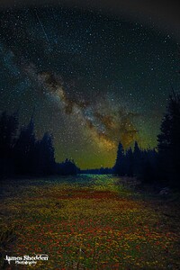 JBS 4834  by James Shedden Photography