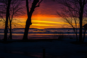 JBS 9799 by James Shedden Photography