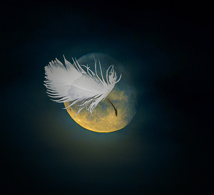 JBS 3024  by James Shedden Photography