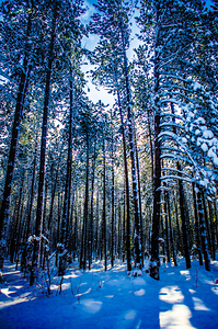 JBS 4409 by James Shedden Photography