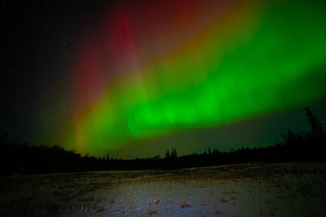 DSC 4379 by James Shedden Photography