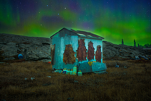 JBS 6142  by James Shedden Photography